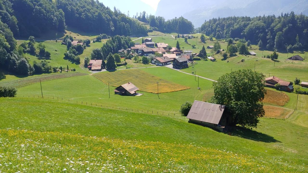 Chalet Bruenig Meiringen Exterior foto