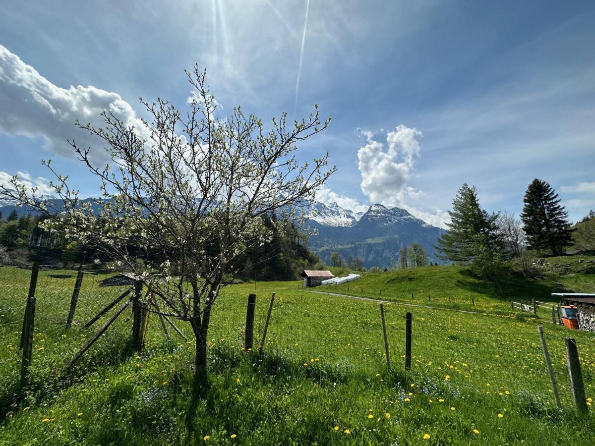 Chalet Bruenig Meiringen Exterior foto