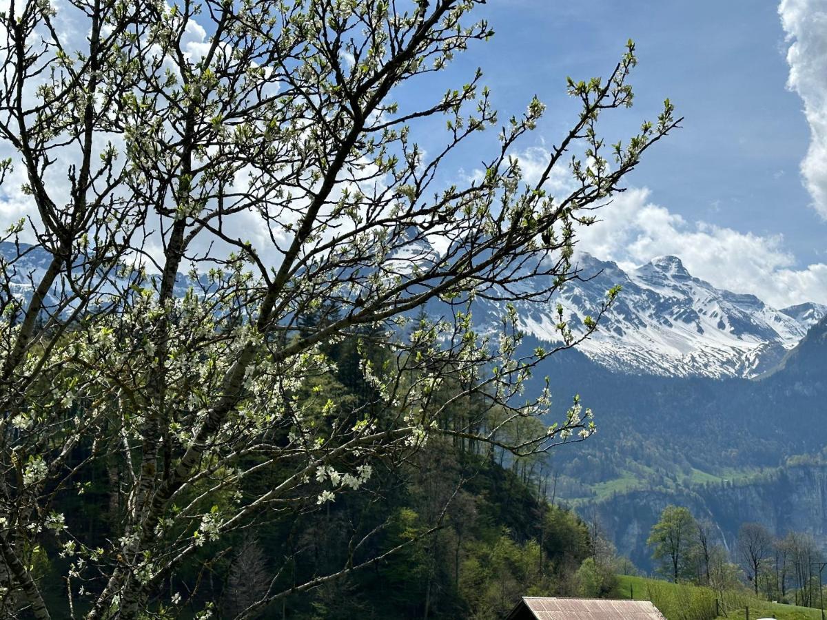 Chalet Bruenig Meiringen Exterior foto
