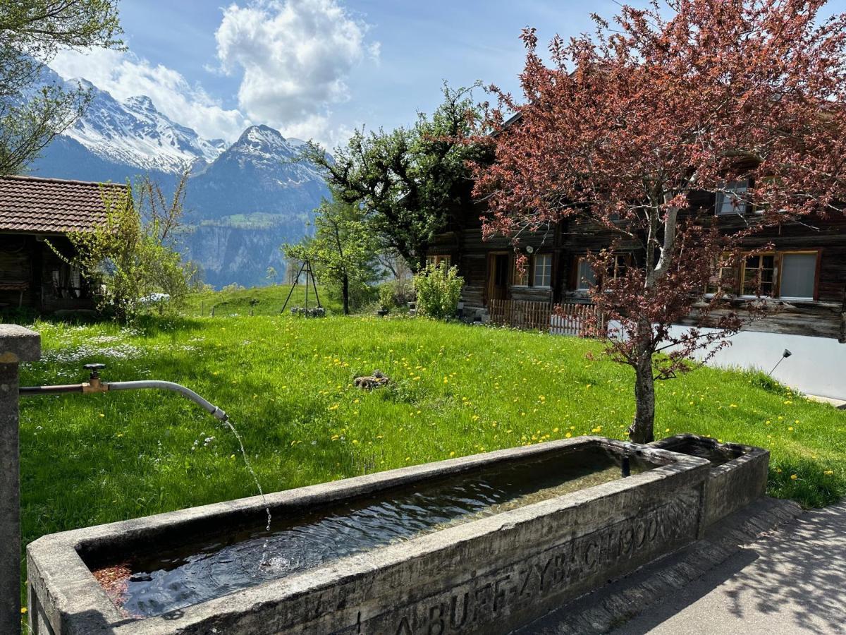 Chalet Bruenig Meiringen Exterior foto
