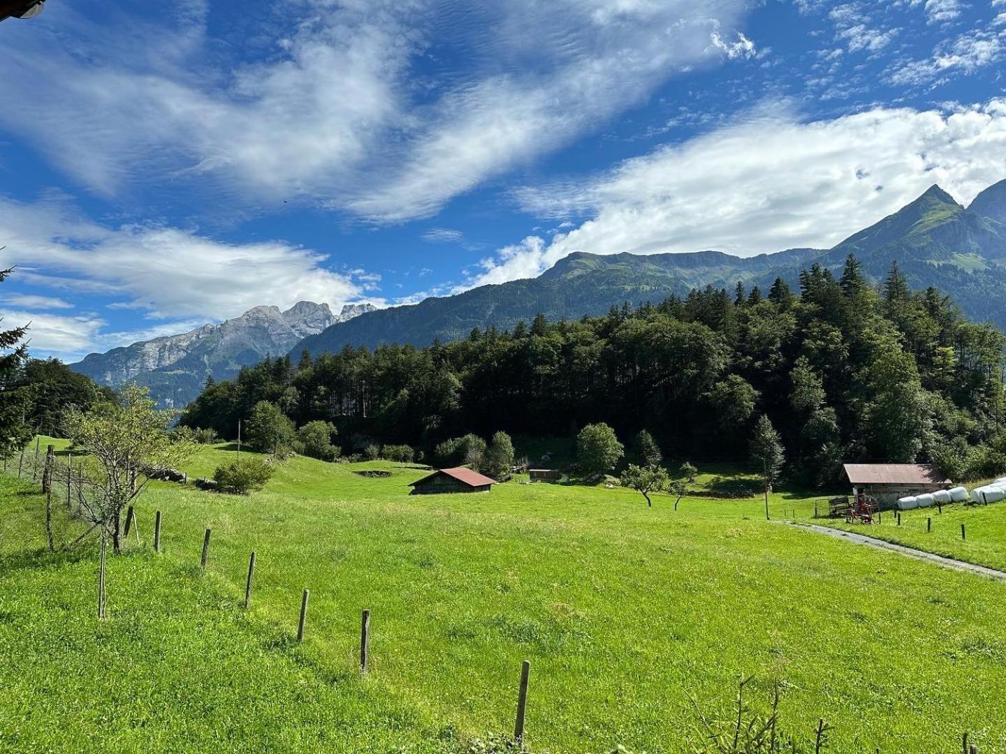 Chalet Bruenig Meiringen Exterior foto